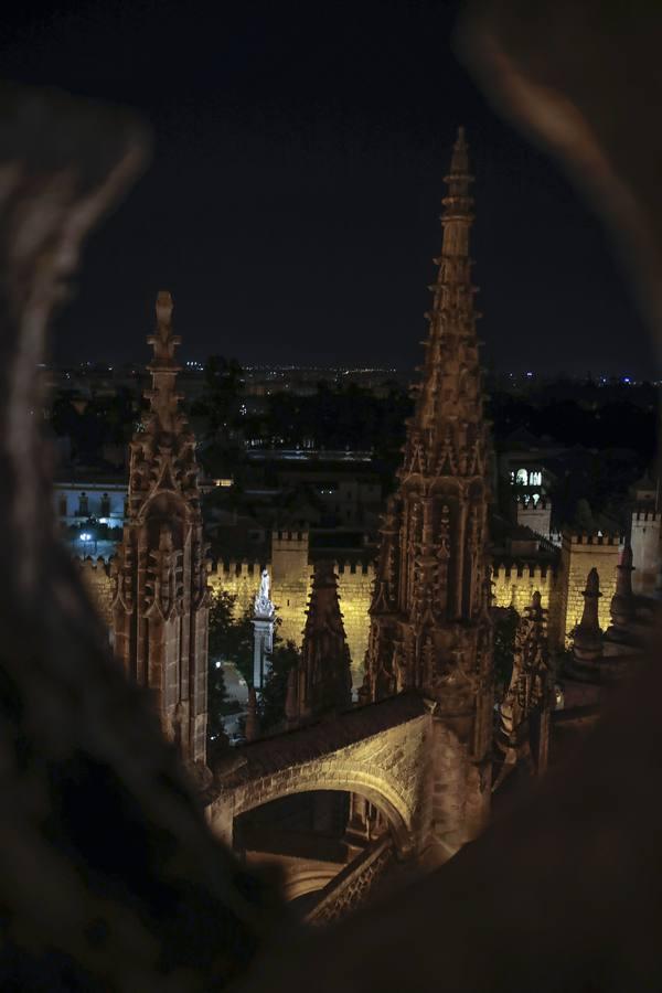 En fotos: la Catedral de Sevilla, bajo las estrellas