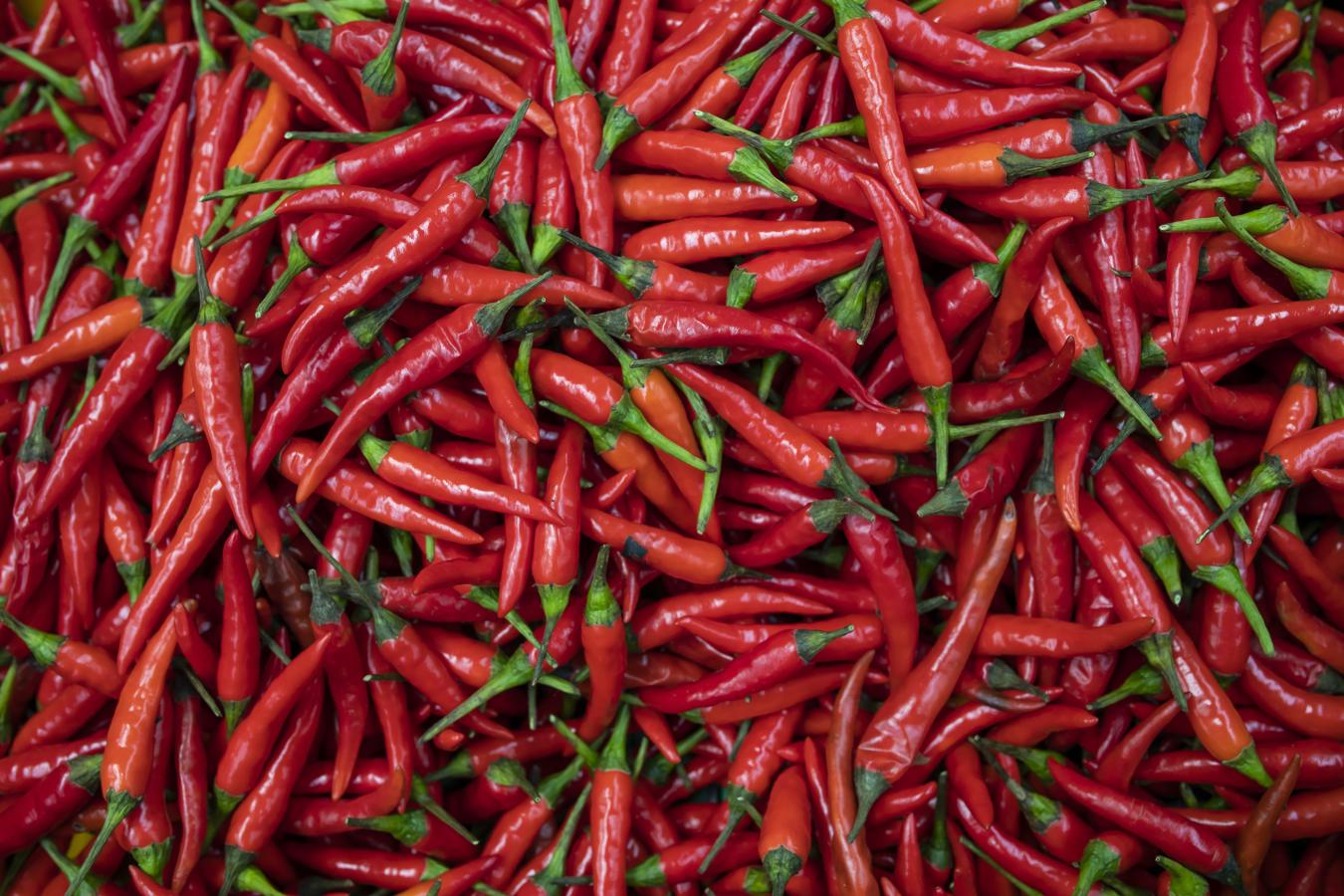 Picante. «El picante en sí no es beneficioso para el tracto digestivo pero luego hay alimentos picantes como los pimientos picantes o chiles que contienen una sustancia llamada capsaicina que tiene propiedades beneficiosas, por ejemplo sobre el dolor produciendo una especies de anestesia, y también es beneficiosa para los vasos sanguíneos y personas que padecen hipertensión», cuenta la nutricionista Júlia Farré.