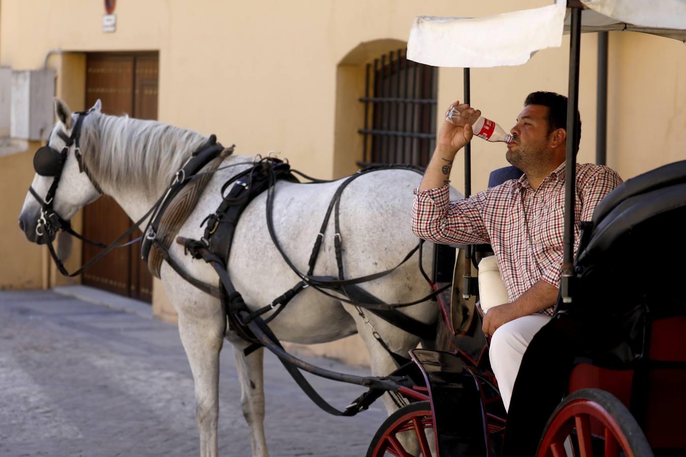 El calor que no cede en Córdoba, en imágenes