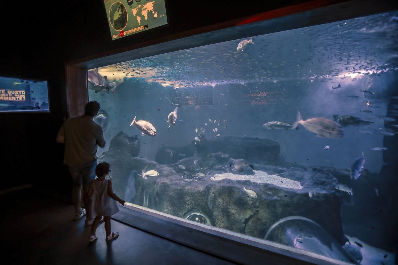 El Acuario de Sevilla reabre sus puertas