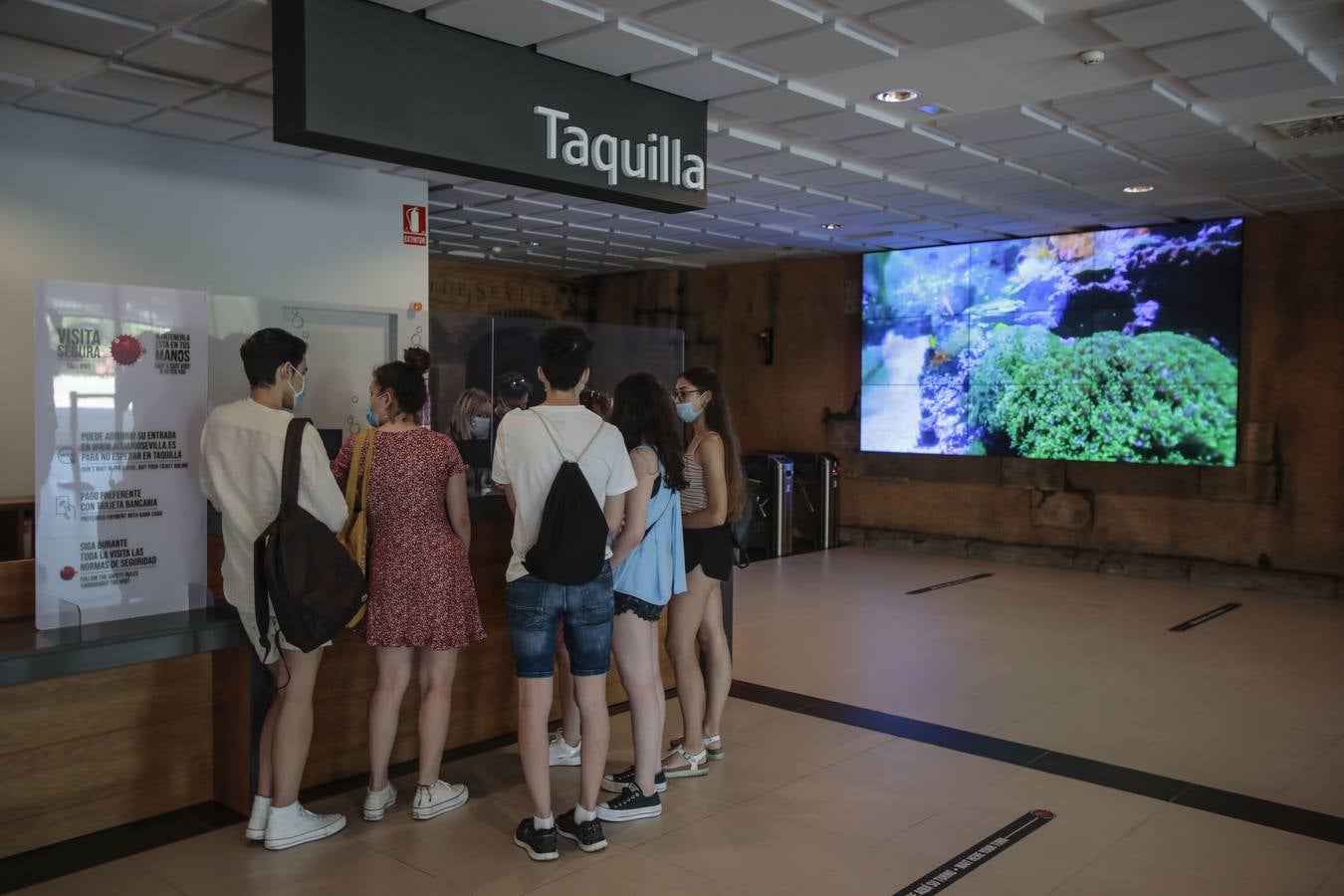 El Acuario de Sevilla reabre sus puertas