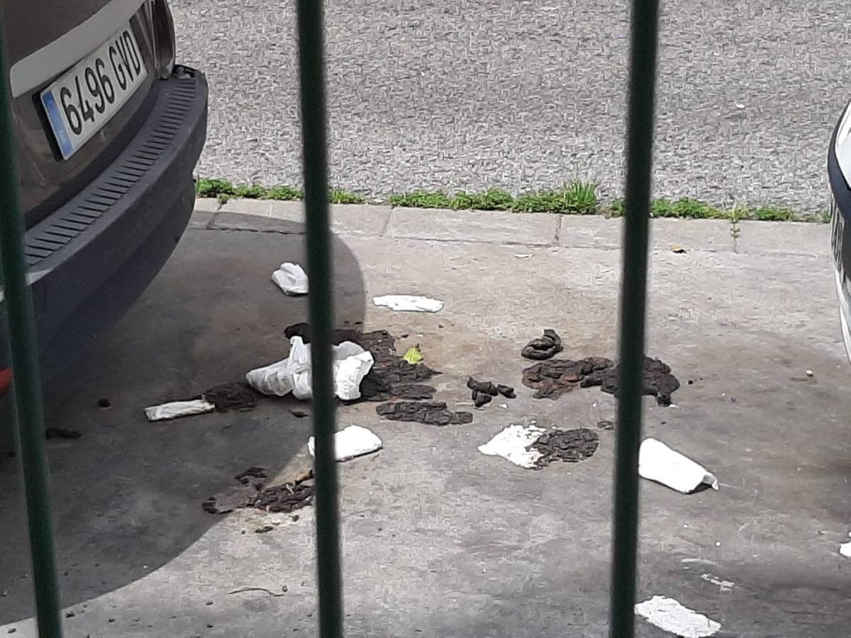 Los vecinos de la Macarena hartos de la insalubridad e inseguridad del barrio