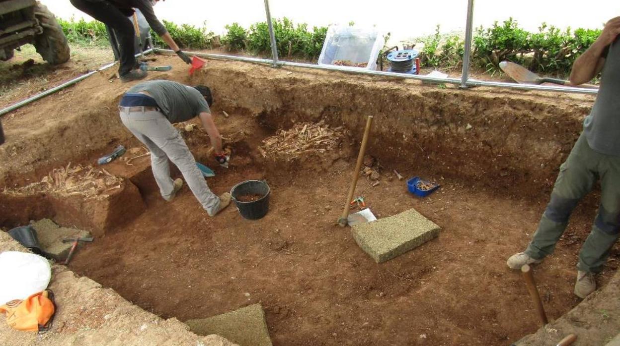 Las excavaciones en la fosa de Pico Reja, en imágenes