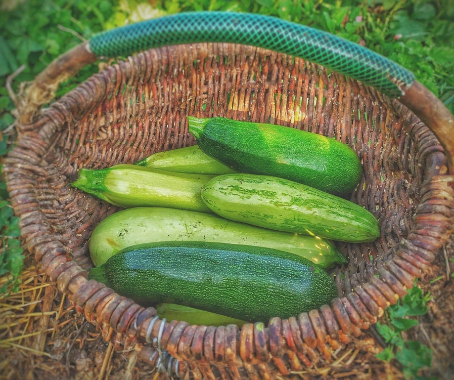 Calabacín. Como algunas otras verduras, el <a href="https://www.abc.es/bienestar/alimentacion/recetas-saludables/abci-ocho-recetas-faciles-calabacin-verdura-menos-calorias-202004210413_noticia.html" target="_blank">calabacín </a>también se puede guardar durante un tiempo en el congelador. ¿El consejo? No congeles el calabacín crudo, es mejor que lo partas en dados o láminas y que lo escaldes previamente.