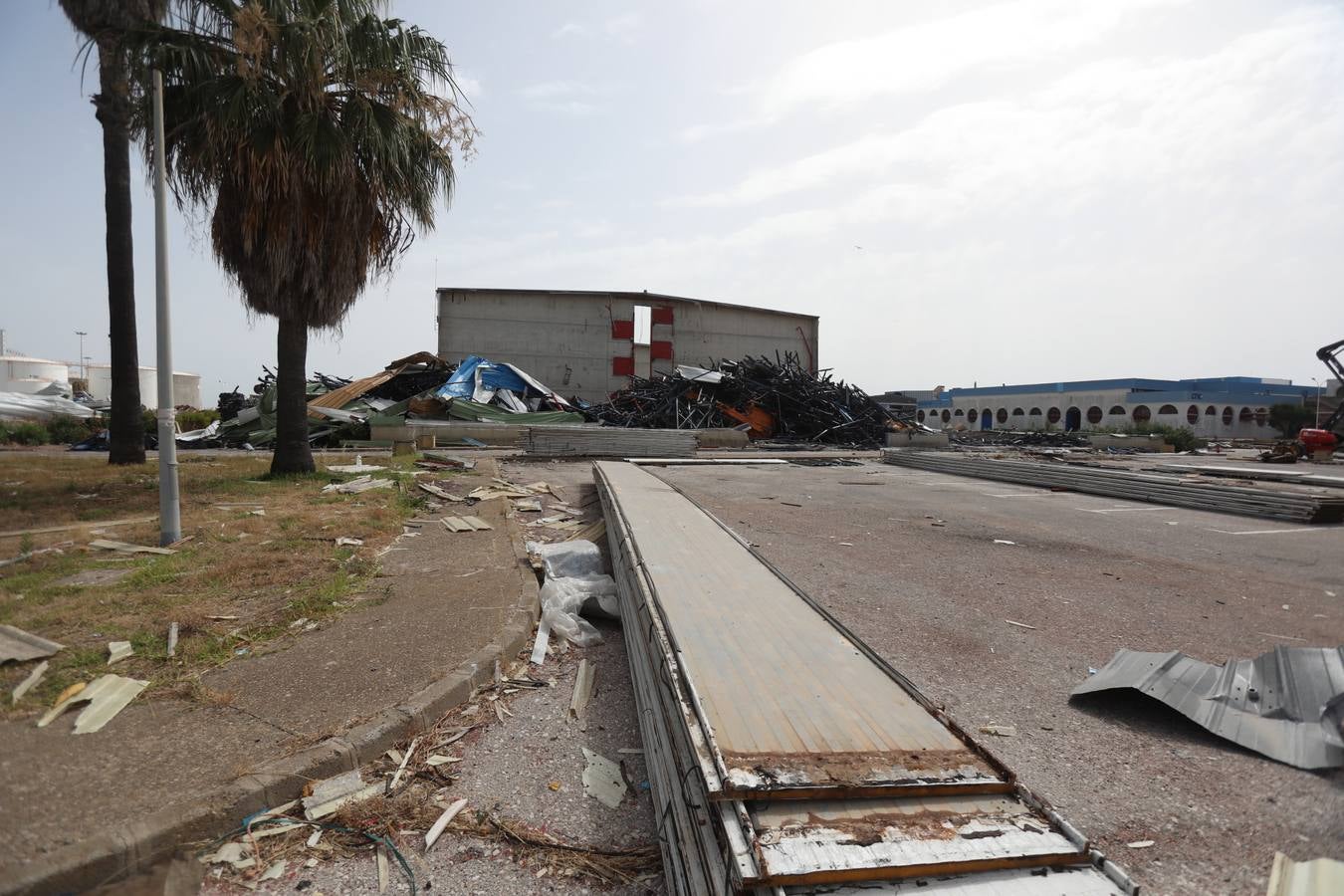 FOTOS: La piqueta acaba con la antigua Altadis en Cádiz