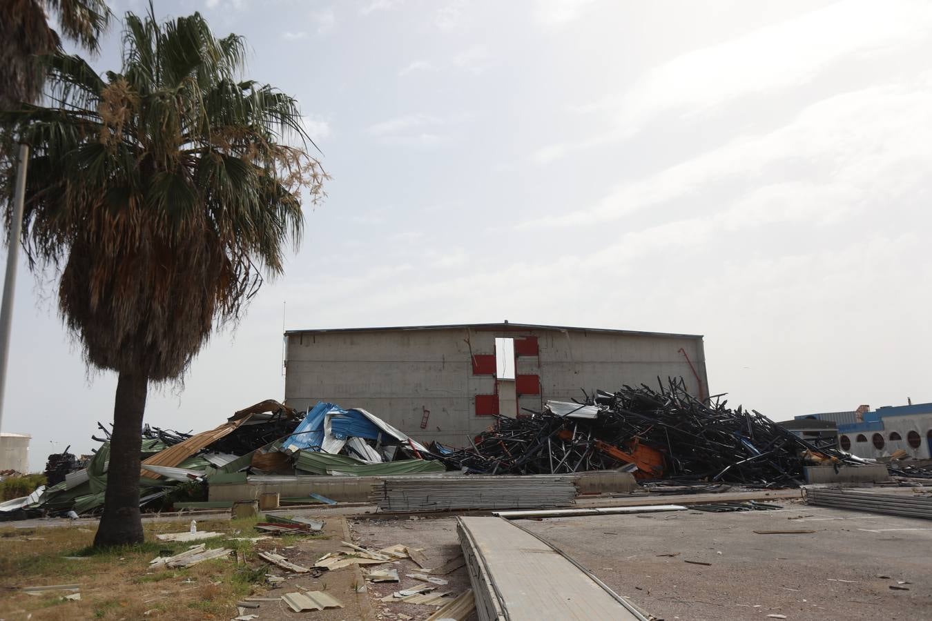 FOTOS: La piqueta acaba con la antigua Altadis en Cádiz