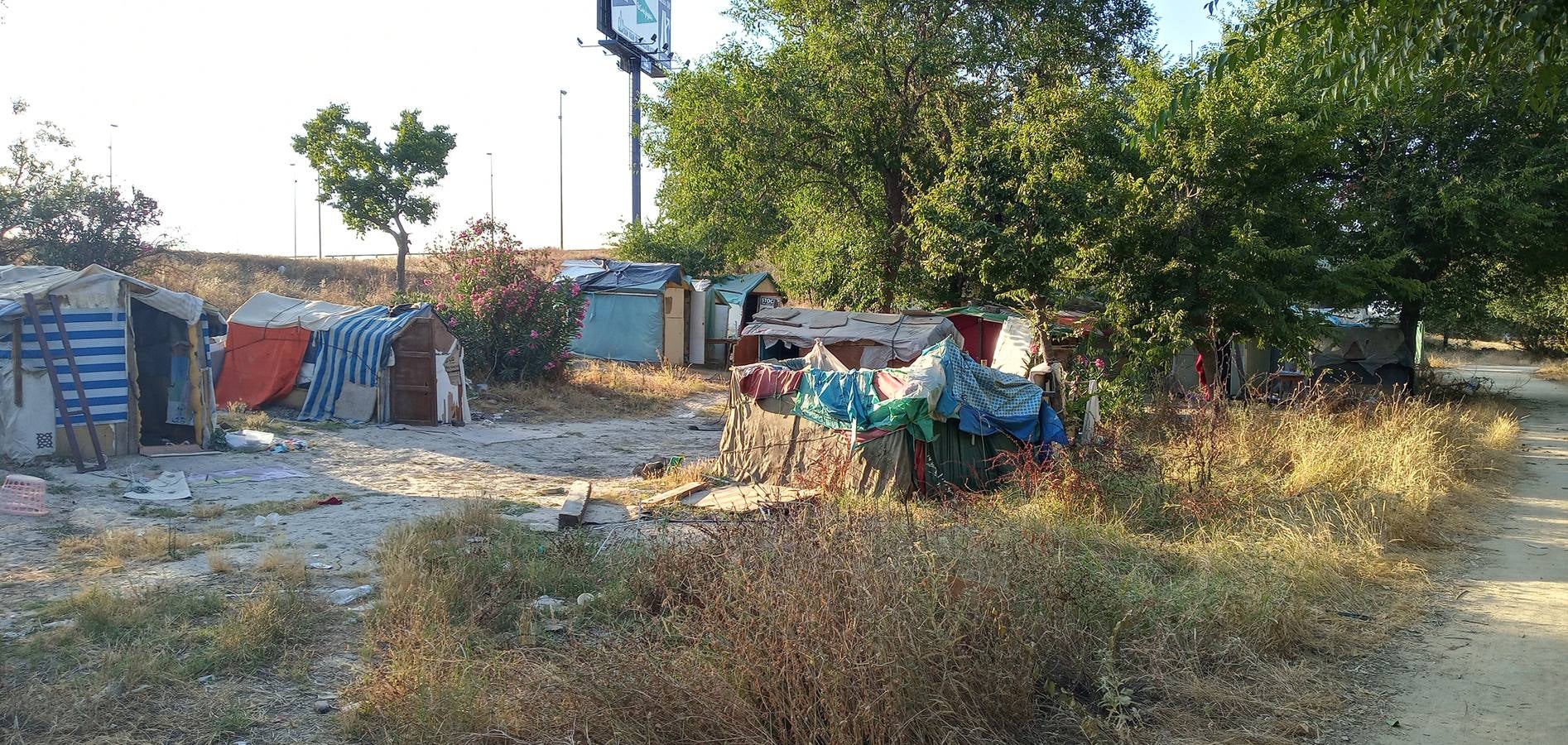 El asentamiento de chabolas junto al Guadalquivir, en imágenes