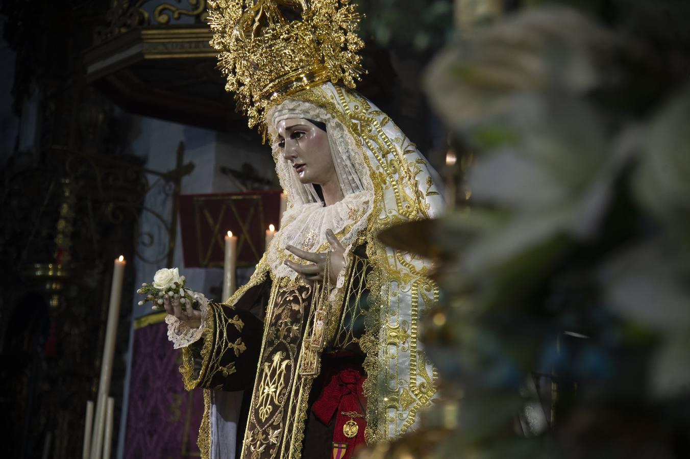 Las imágenes del acto de veneración de la Virgen del Carmen