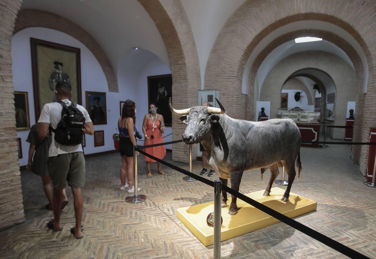 El Museo Taurino de Sevilla reabre sus puertas