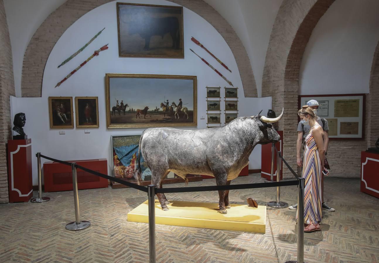 El Museo Taurino de Sevilla reabre sus puertas