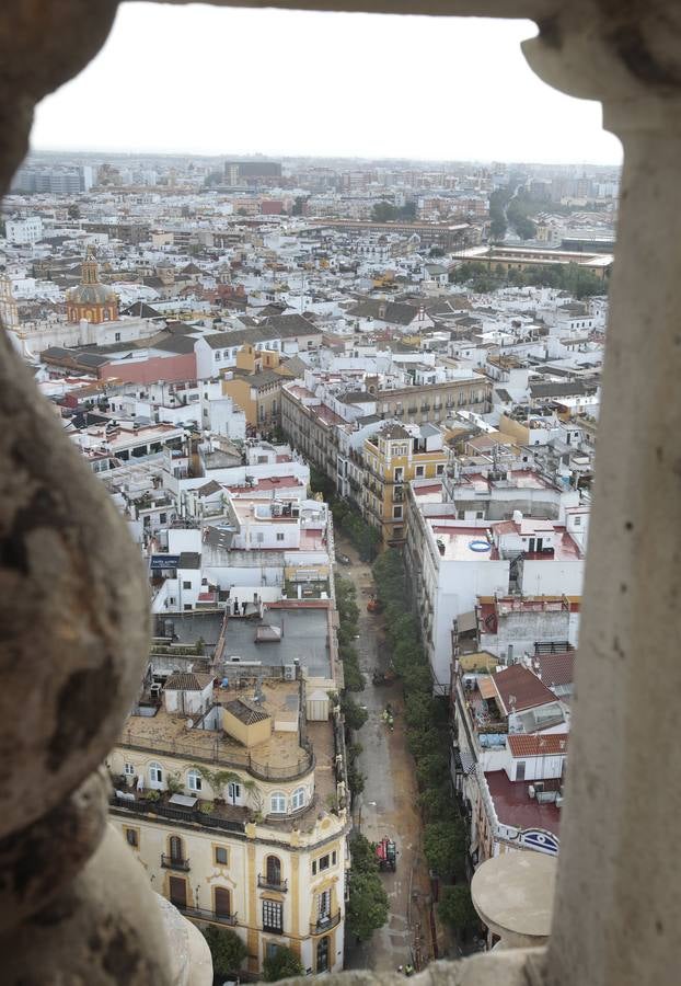 Reapertura de la Catedral de Sevilla a la visita cultural en grupos