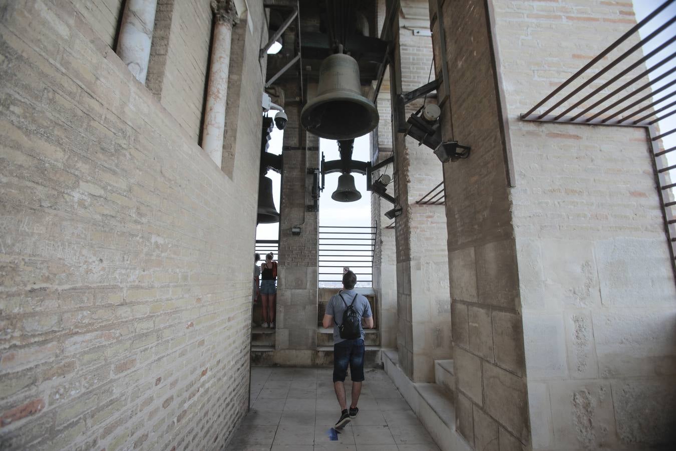 Reapertura de la Catedral de Sevilla a la visita cultural en grupos