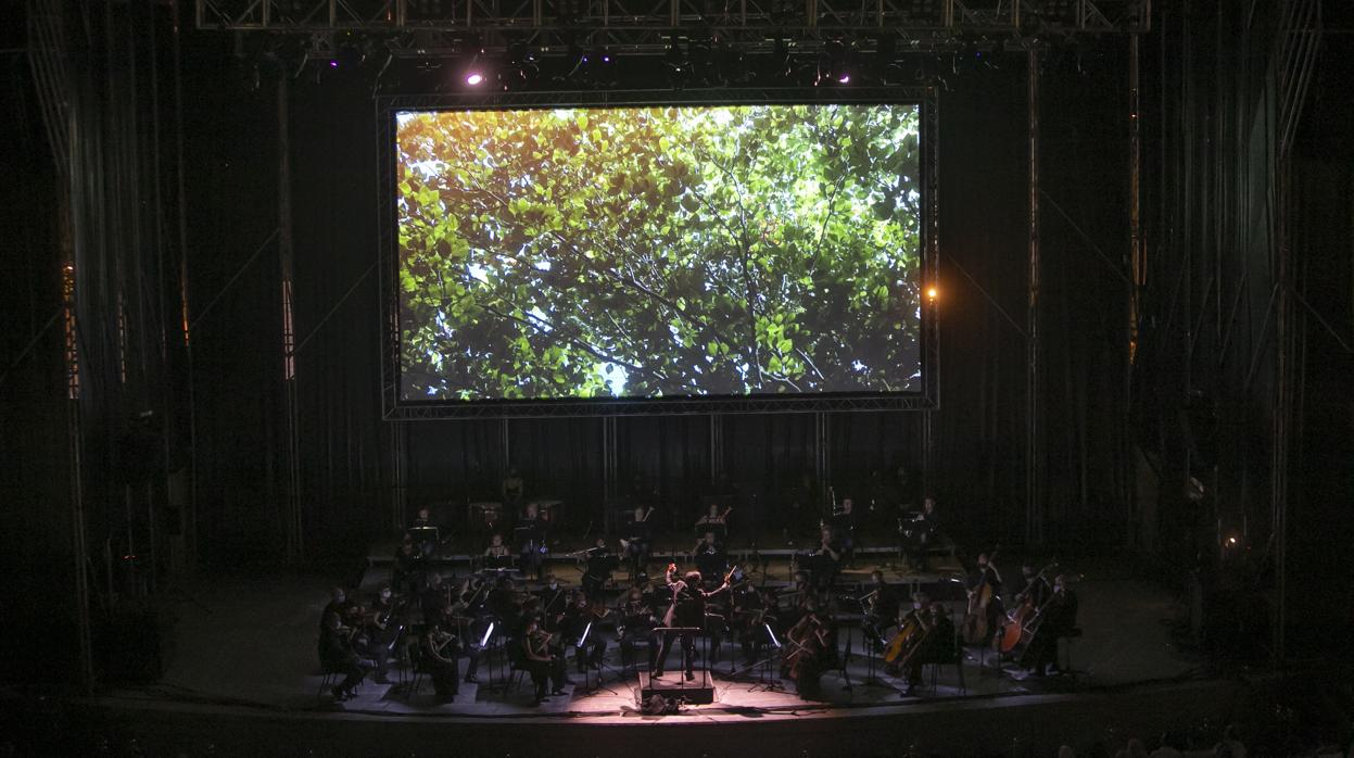 El estreno de la «Sinfonía Pastoral» de Beethoven en Córdoba con imágenes de Tobías Melle