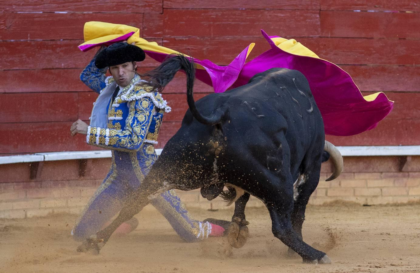 En imágenes, la primera corrida de toros de las Colombinas