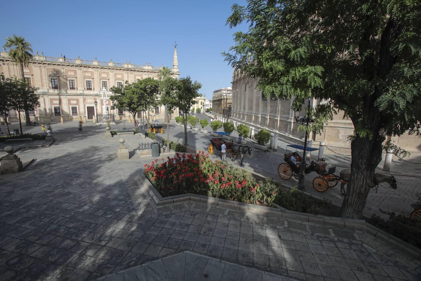 En imágenes, Sevilla se queda vacía con la llegada del mes de agosto