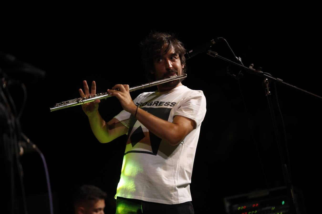 La cálida noche de concierto flamenco en el Alcázar de Córdoba, en imágenes