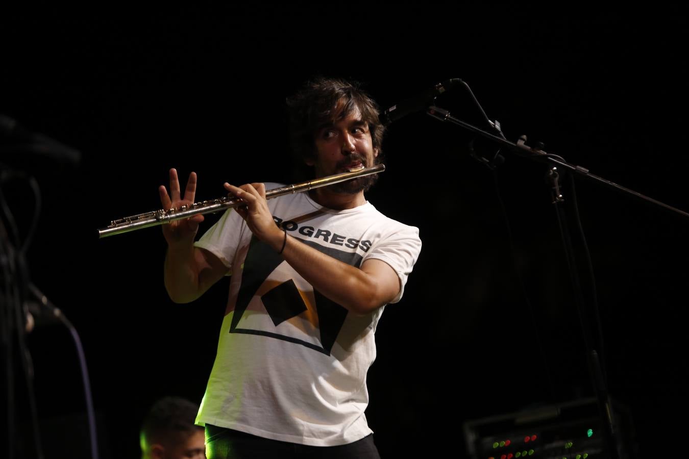 La cálida noche de concierto flamenco en el Alcázar de Córdoba, en imágenes