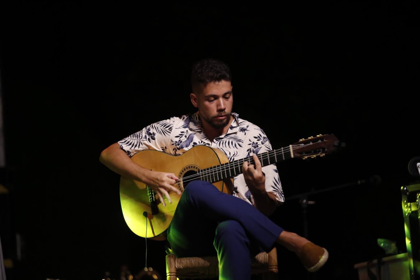 La cálida noche de concierto flamenco en el Alcázar de Córdoba, en imágenes