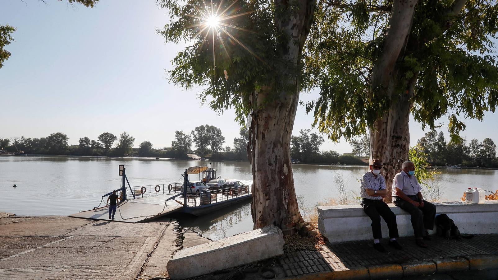 Fotogalería: Preocupación en las calles de Coria por el virus del Nilo