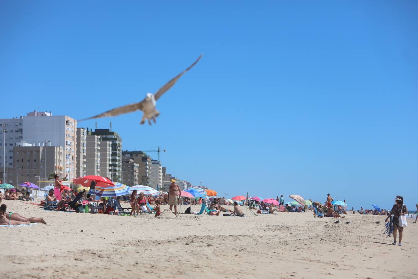 Fotos: La modélica imágen de las playas de Cádiz