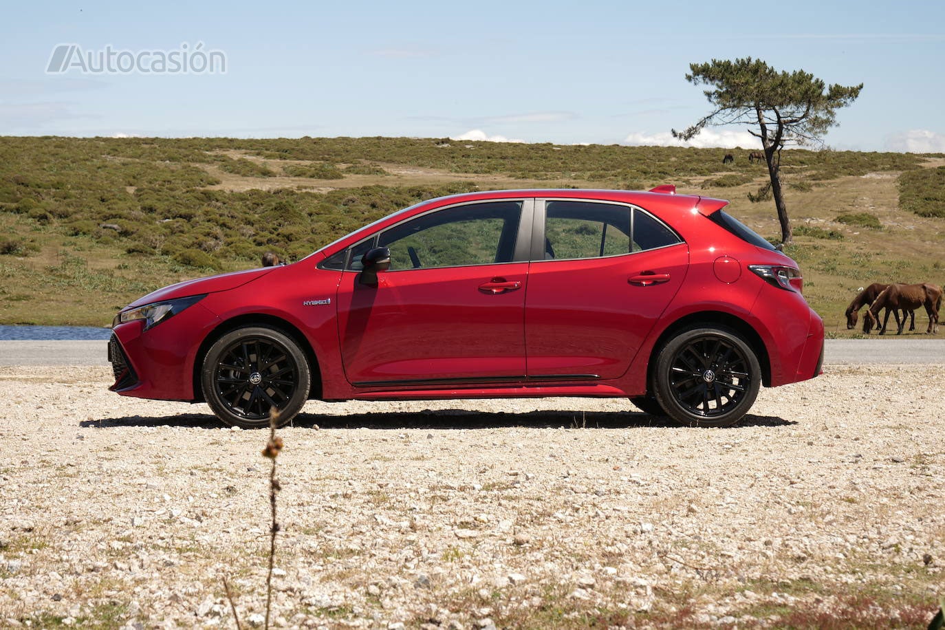 Fotogalería: Toyota Corolla 1.8H