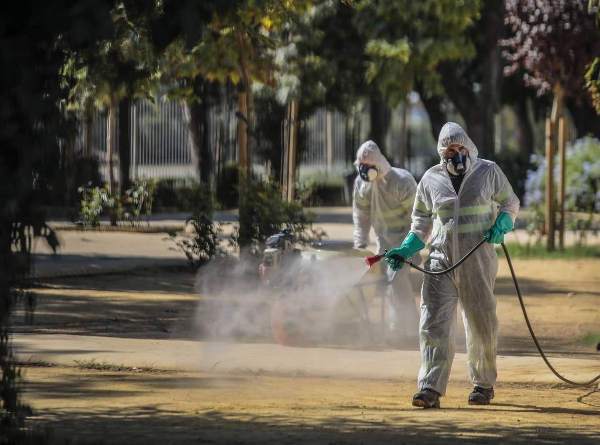 La fumigación contra el mosquito común en los pueblos de Sevilla, en imágenes