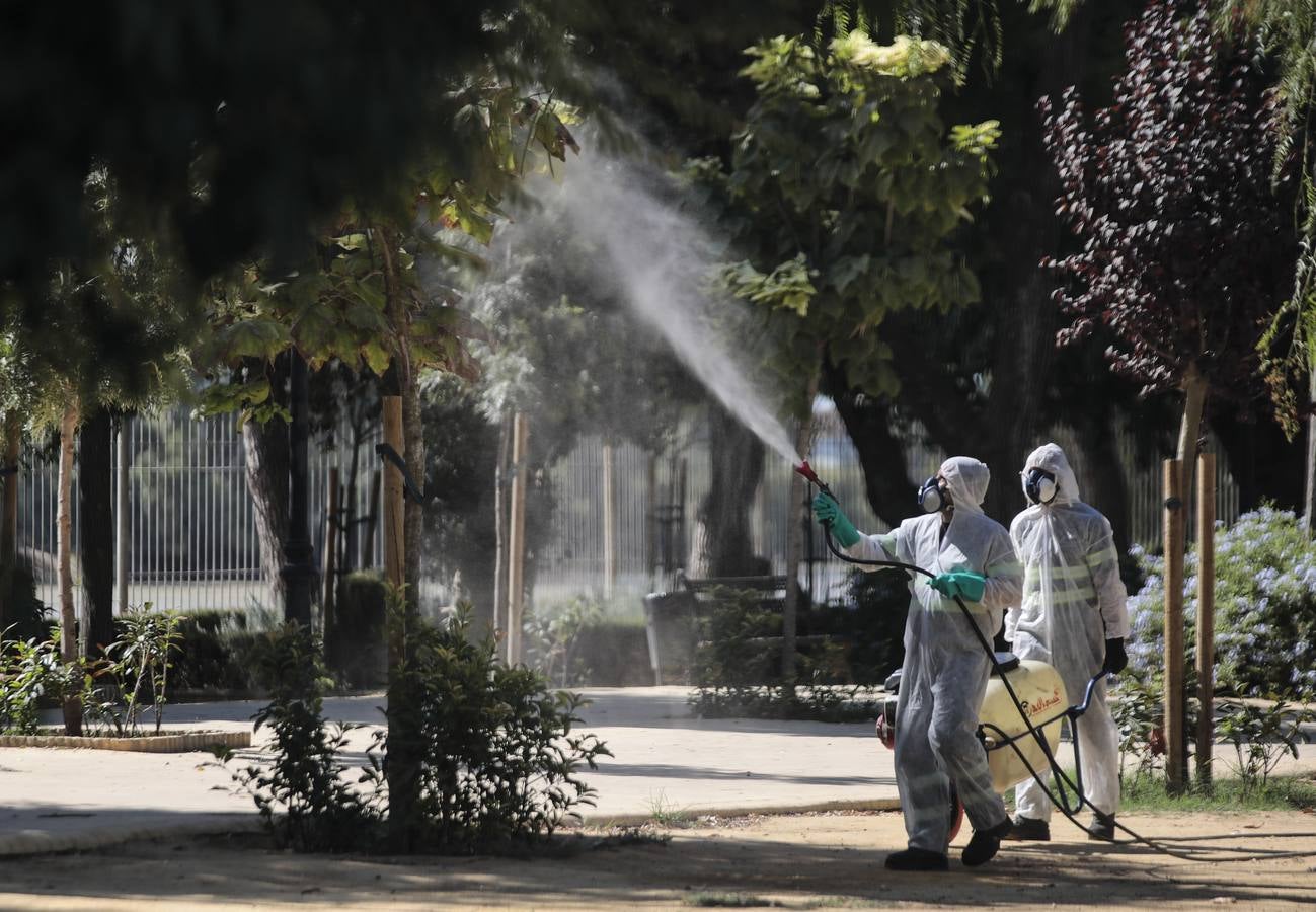 La fumigación contra el mosquito común en los pueblos de Sevilla, en imágenes