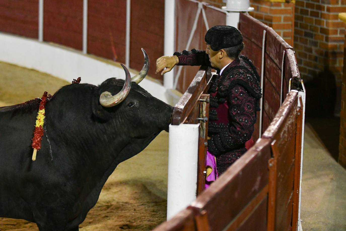 Nueve orejas en Equivias: la corrida, en imágenes