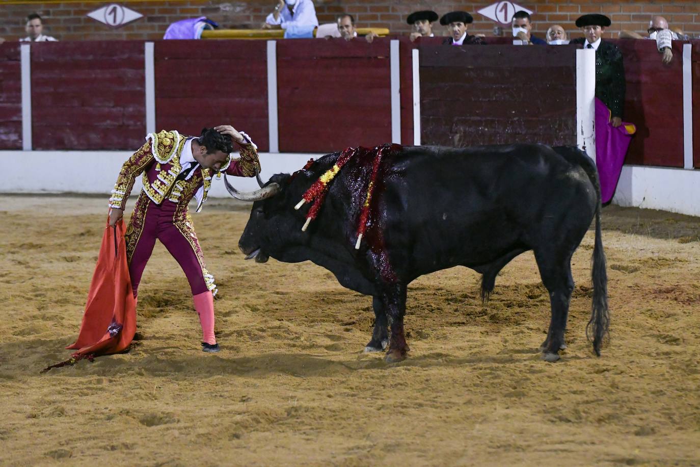 Nueve orejas en Equivias: la corrida, en imágenes