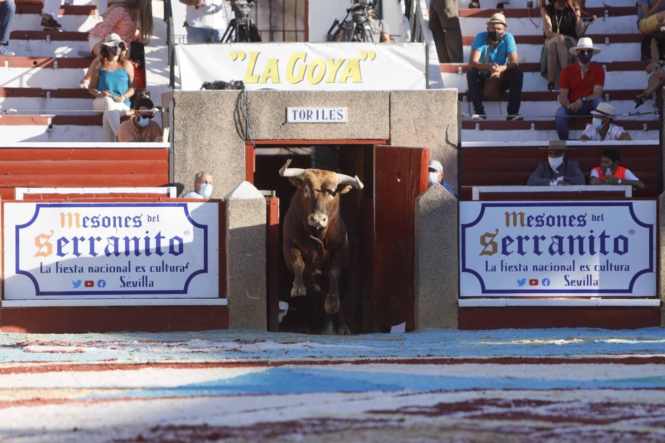 En imágenes, la corrida «Magallánica» de Sanlúcar