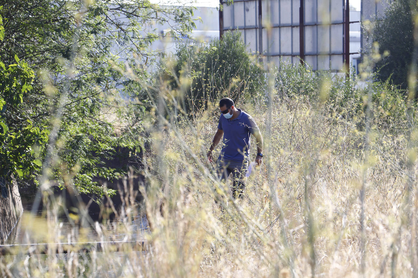 La búsqueda del hombre de 85 años desaparecido en Córdoba, en imágenes