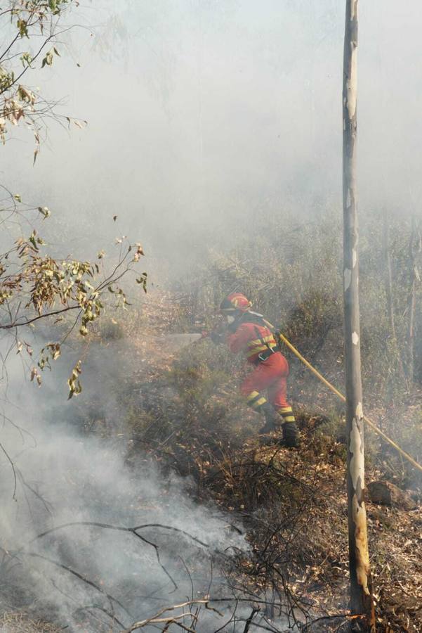 El incendio de Huelva continúa avanzando sin control, en imágenes