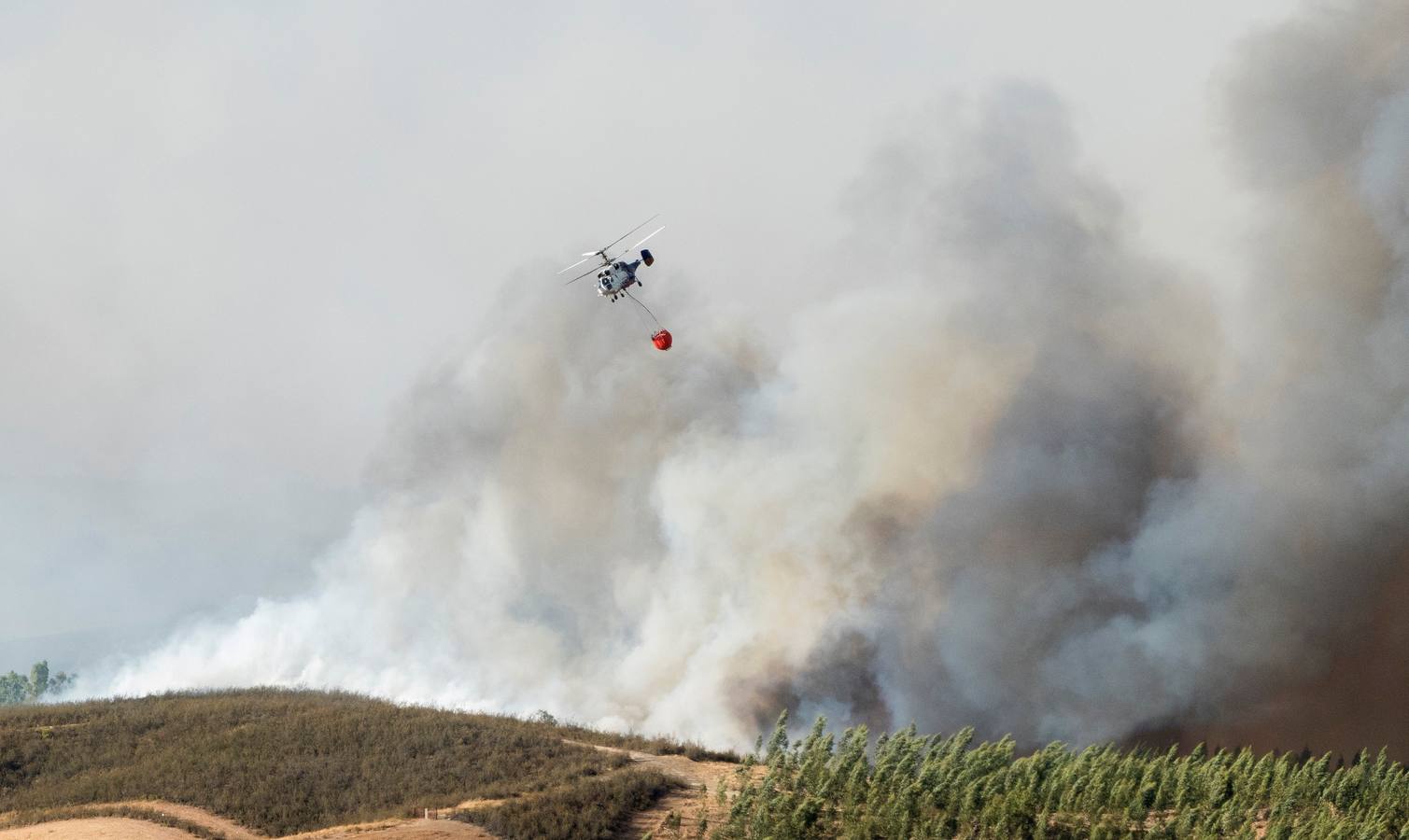 El incendio de Huelva continúa avanzando sin control, en imágenes