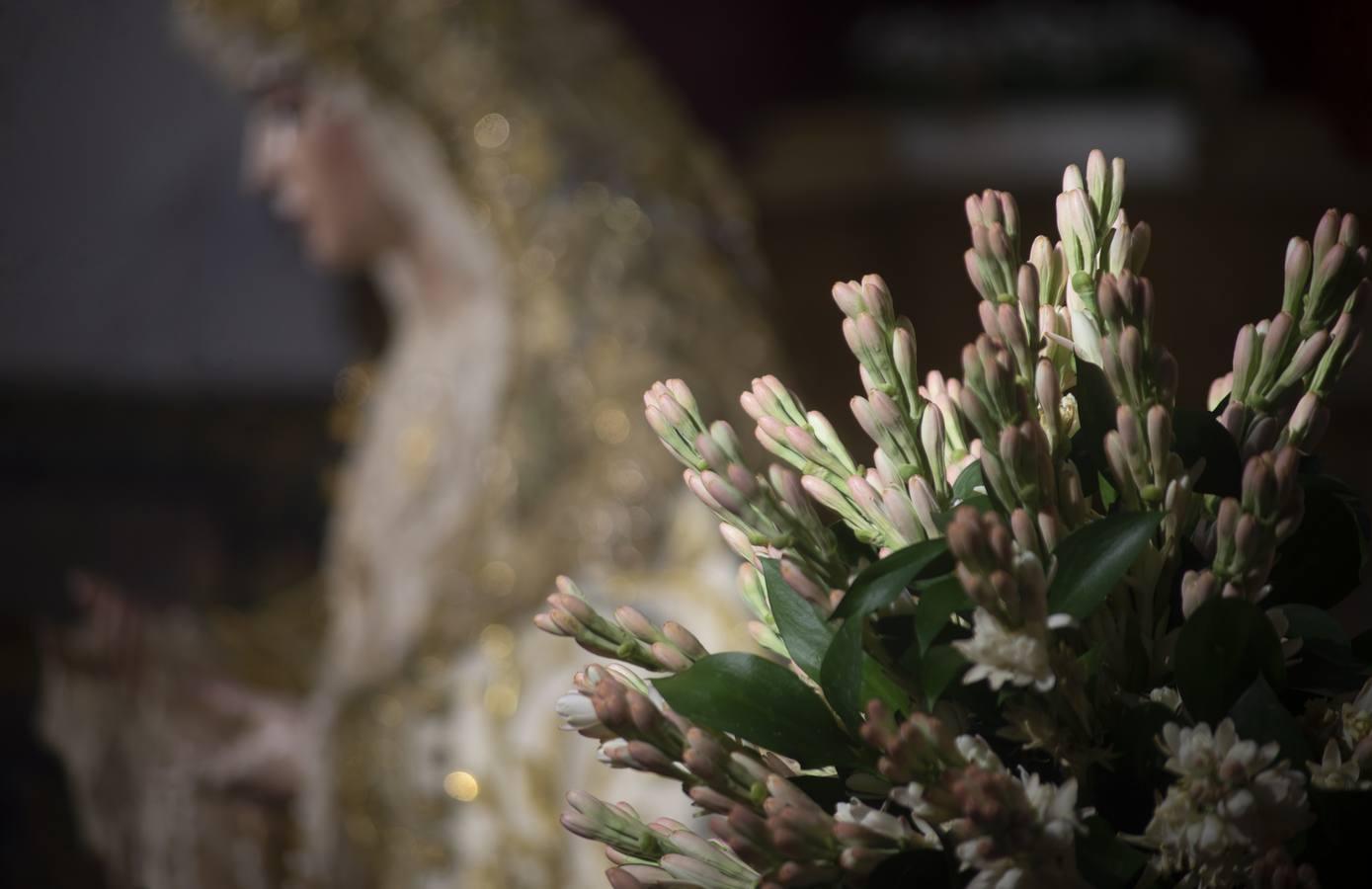 La Virgen de la Salud de San Gonzalo