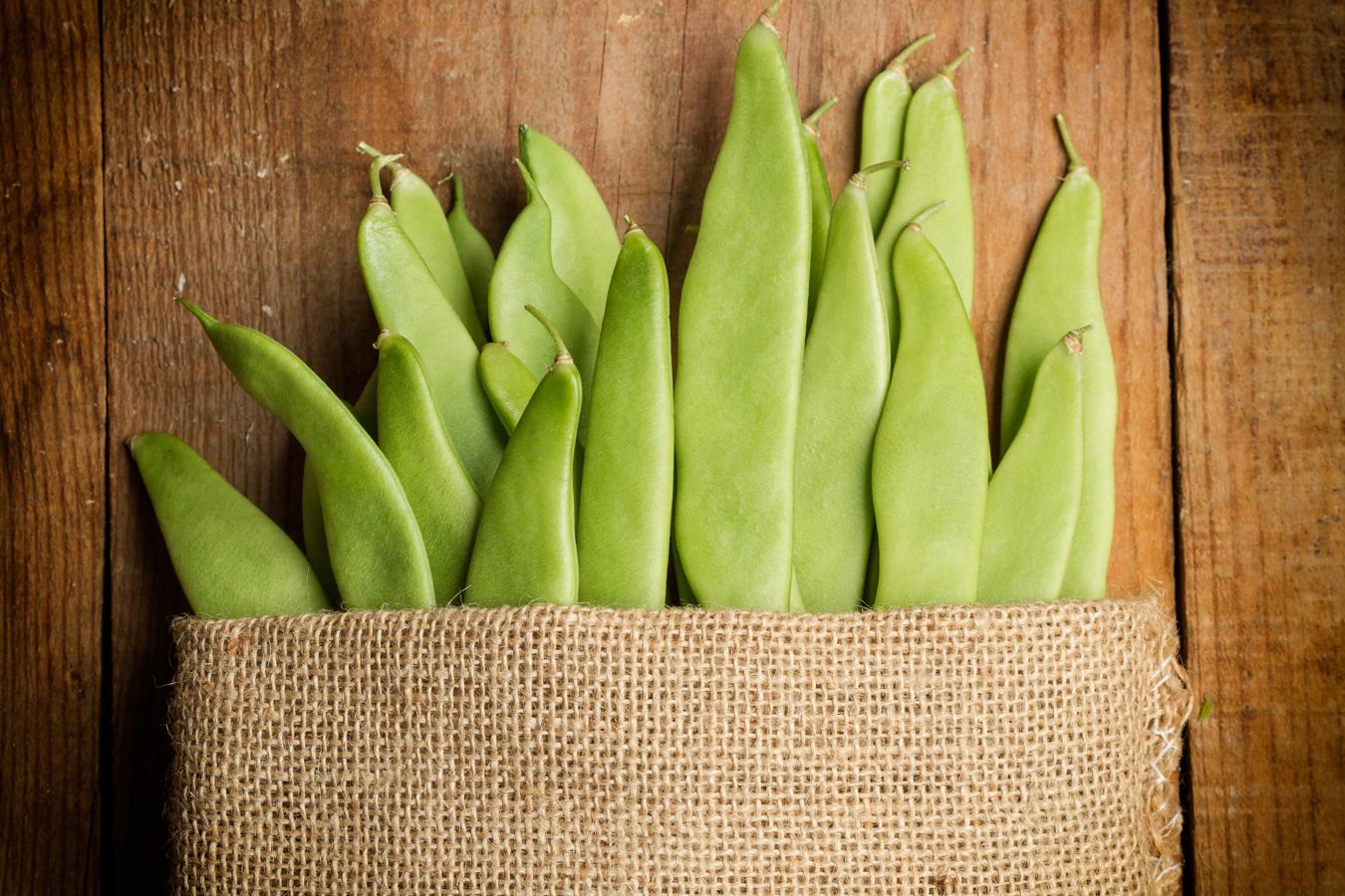 Judía verde. El mejor momento para consumir judías verdes es durante los meses de primavera y verano. Las judías frescas presentan un color verde vivo y brillante, y deben tener un aspecto regular y no ser muy duras al tacto. Otros trucos para adivinar la terneza y calidad del producto es que sus granos no deben aparecer muy marcados, y si aparece una gotita de agua al quebrarse.