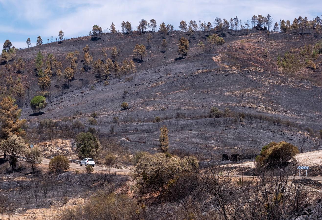 Incendio en la Sierra de Huelva: en imágenes, el día después de un fuego devastador