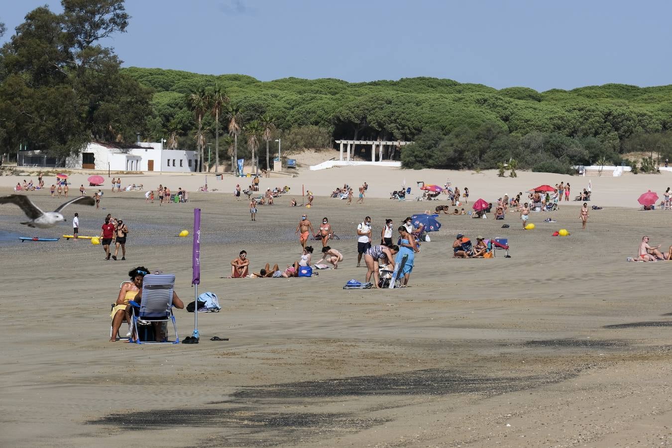 FOTOS: Llega septiembre... y las playas de Cádiz se vacían de turistas