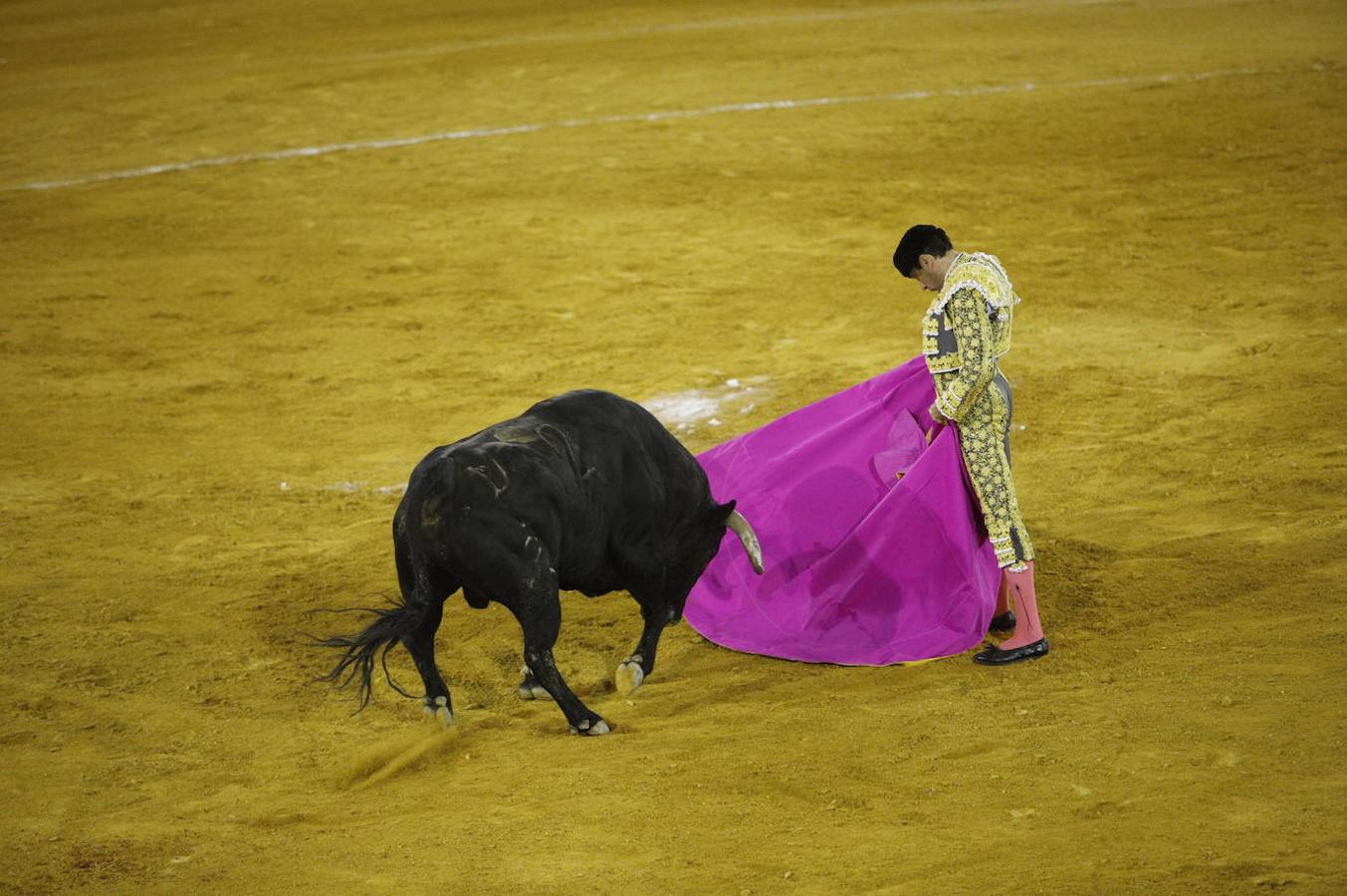 La corrida de toros en Priego de Córdoba, en imágenes