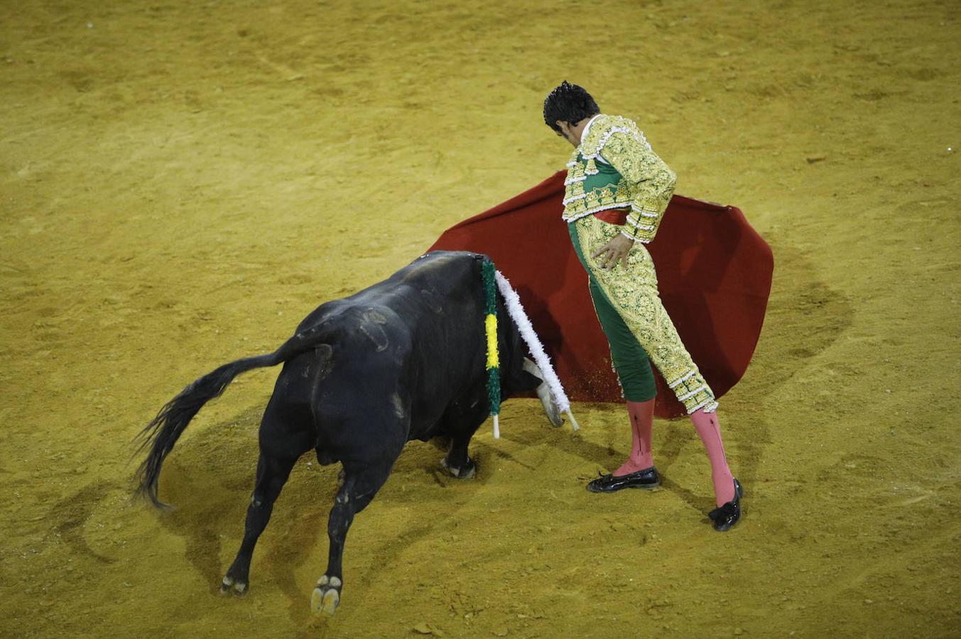 La corrida de toros en Priego de Córdoba, en imágenes