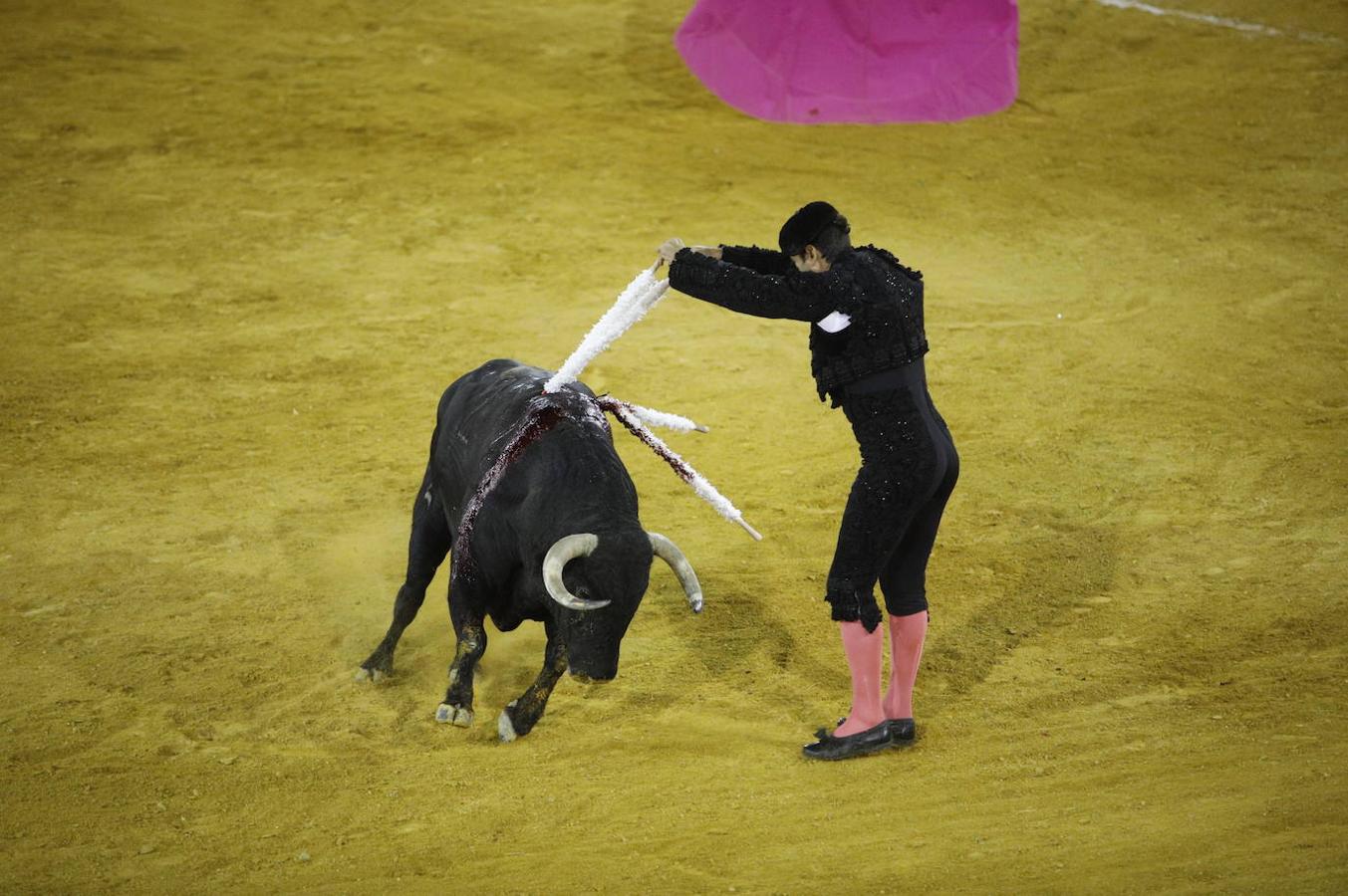 La corrida de toros en Priego de Córdoba, en imágenes