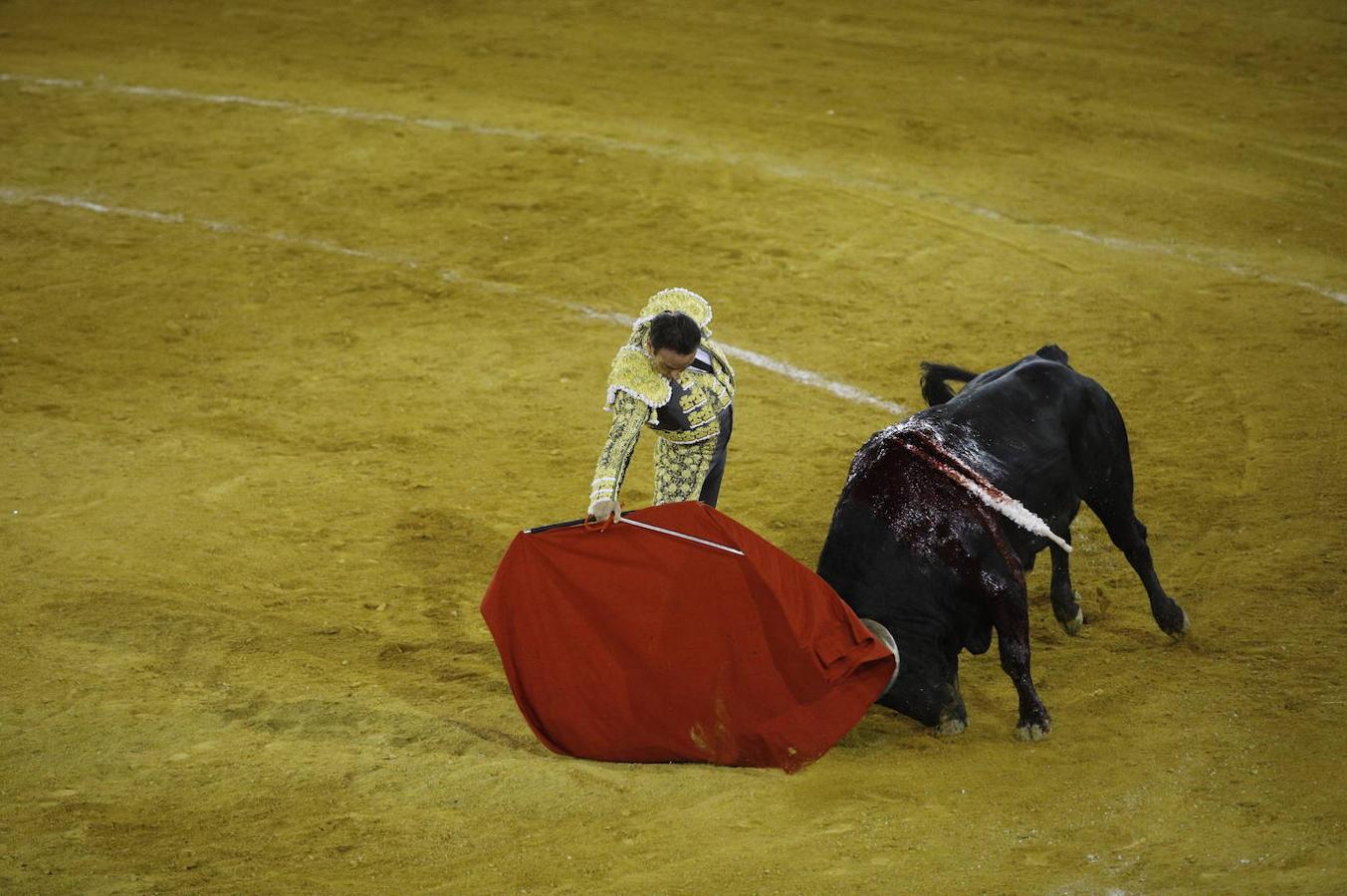 La corrida de toros en Priego de Córdoba, en imágenes