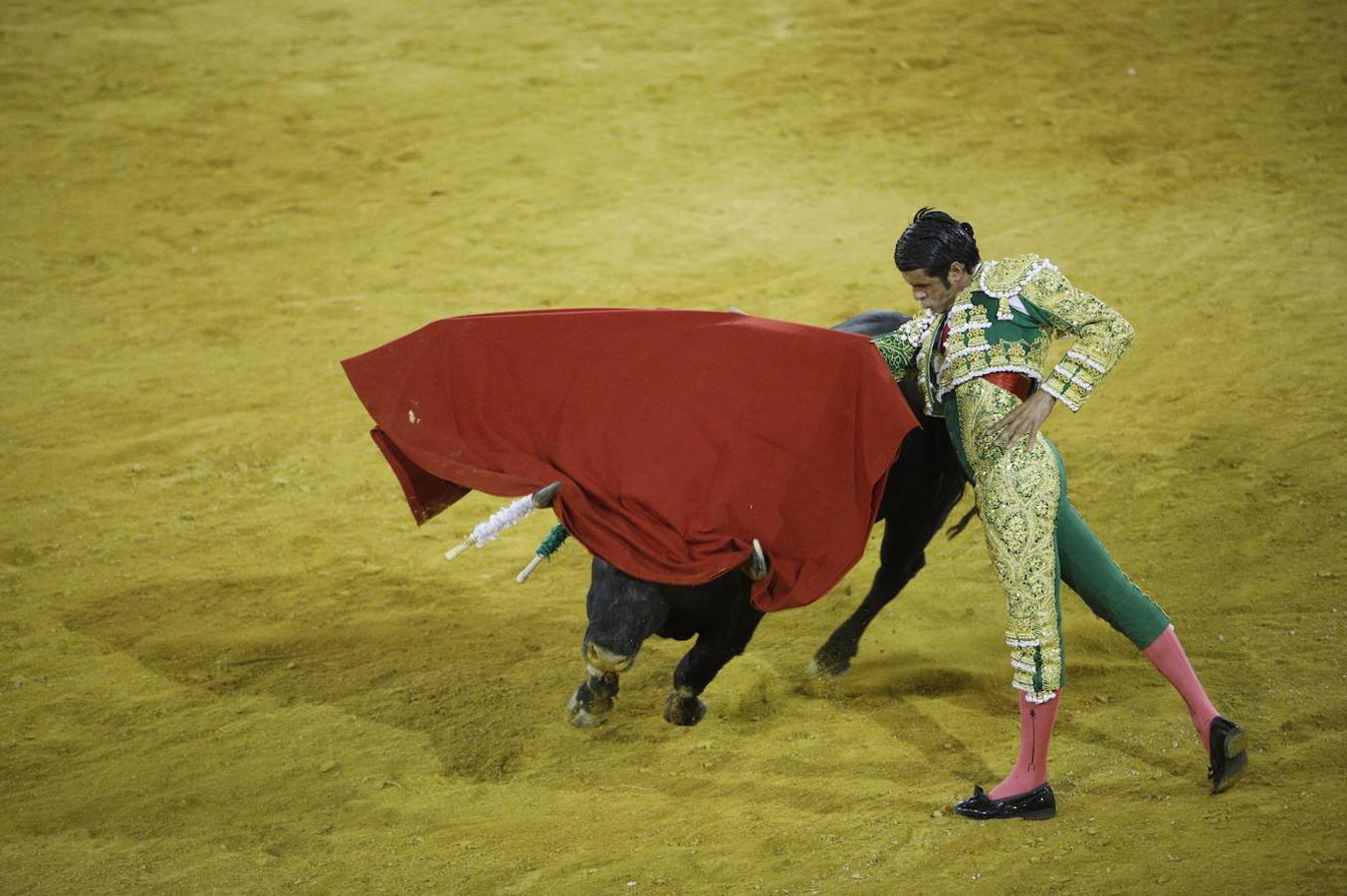 La corrida de toros en Priego de Córdoba, en imágenes