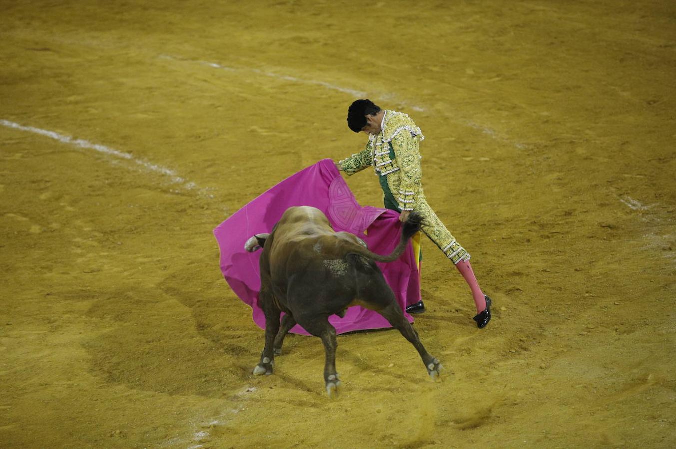 La corrida de toros en Priego de Córdoba, en imágenes