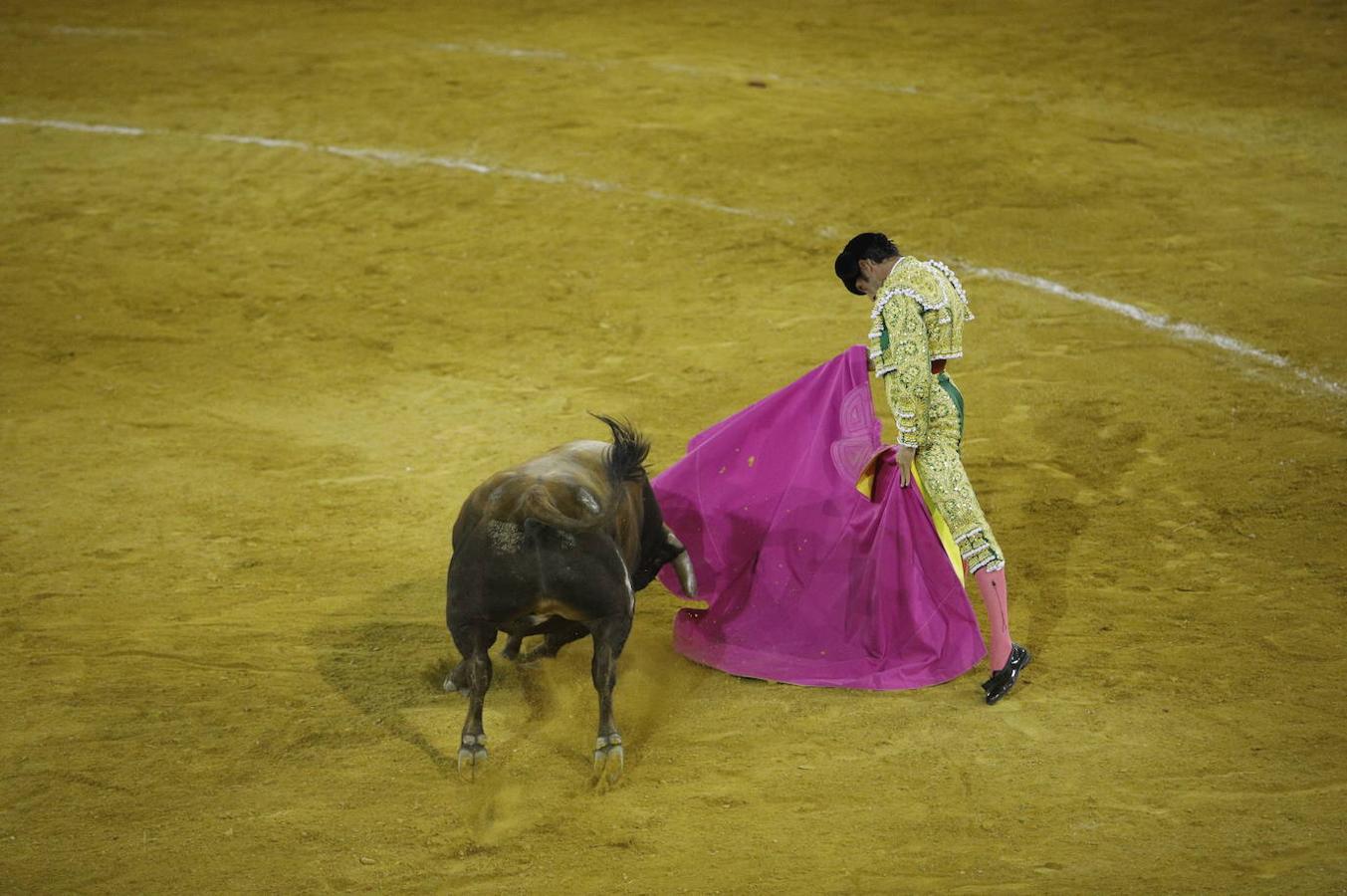 La corrida de toros en Priego de Córdoba, en imágenes