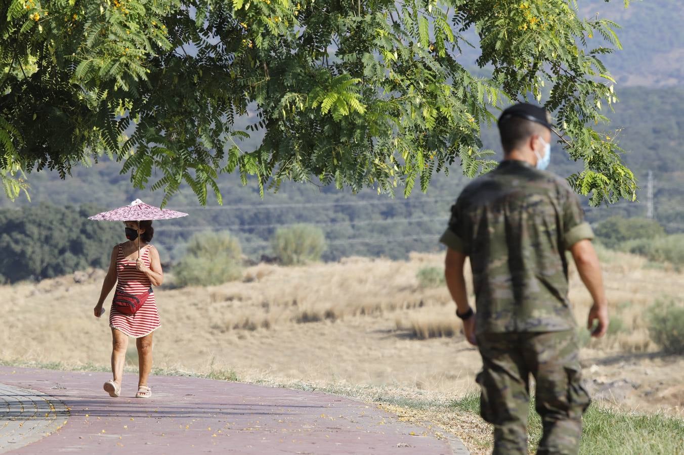 La búsqueda de José Morilla en Mirabueno por el Ejército, en imágenes