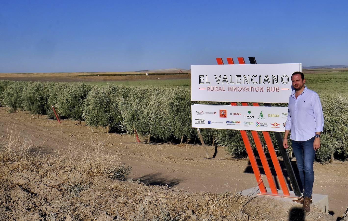 Finca El Valenciano: de cortijo a «startup», en imágenes