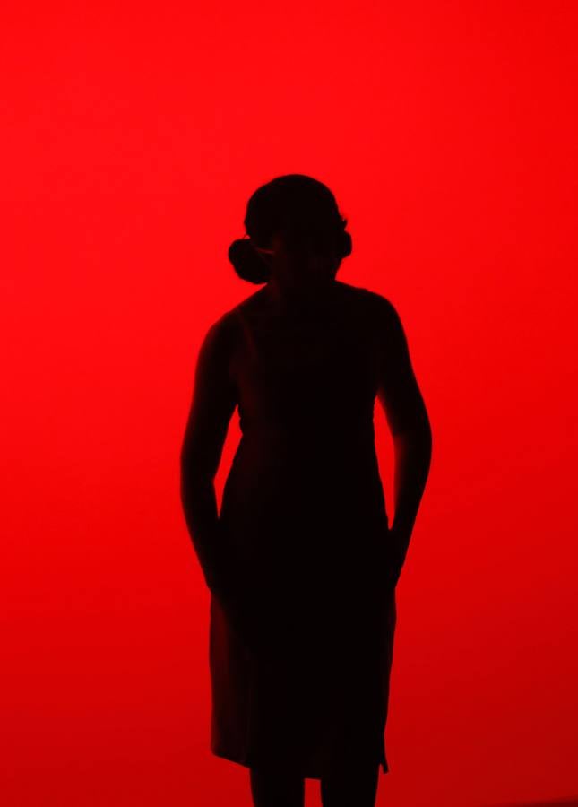 Bienal del Flamenco 2020: el espectáculo «Cuero/Cuerpo», en imágenes