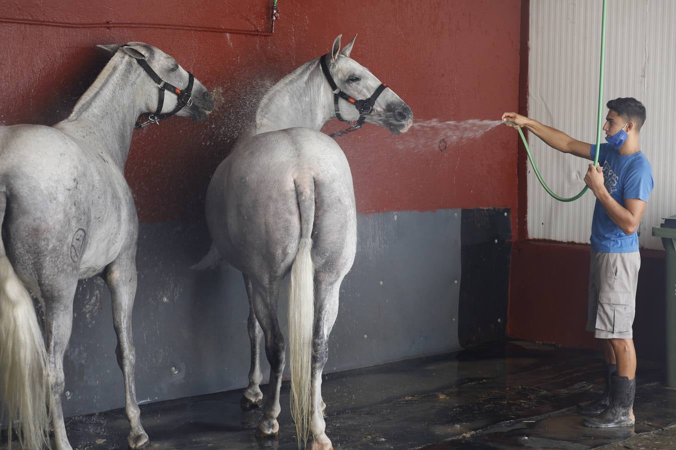 La presentación de Cabalcor 2020, en imágenes