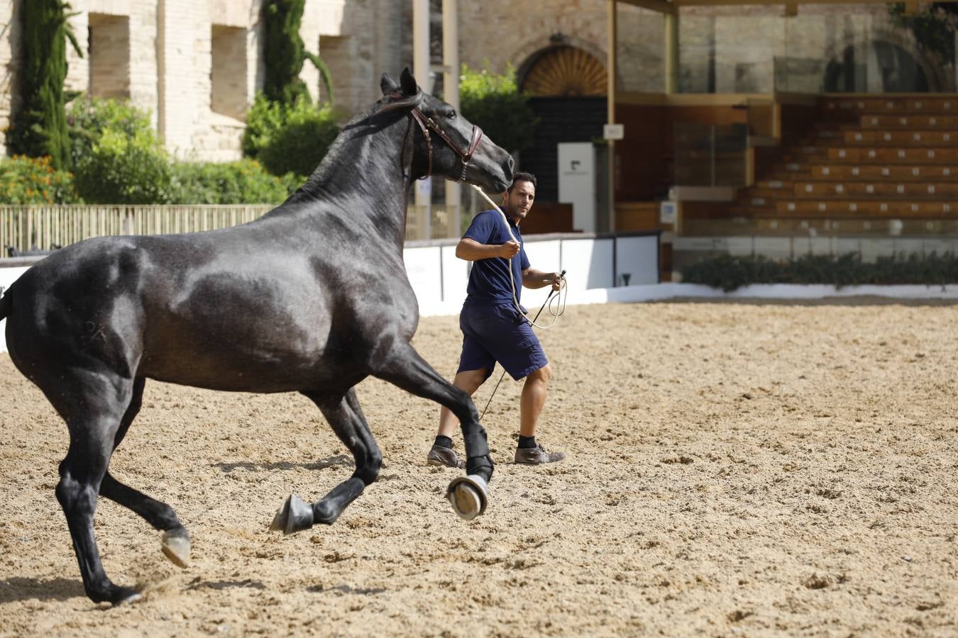 La presentación de Cabalcor 2020, en imágenes