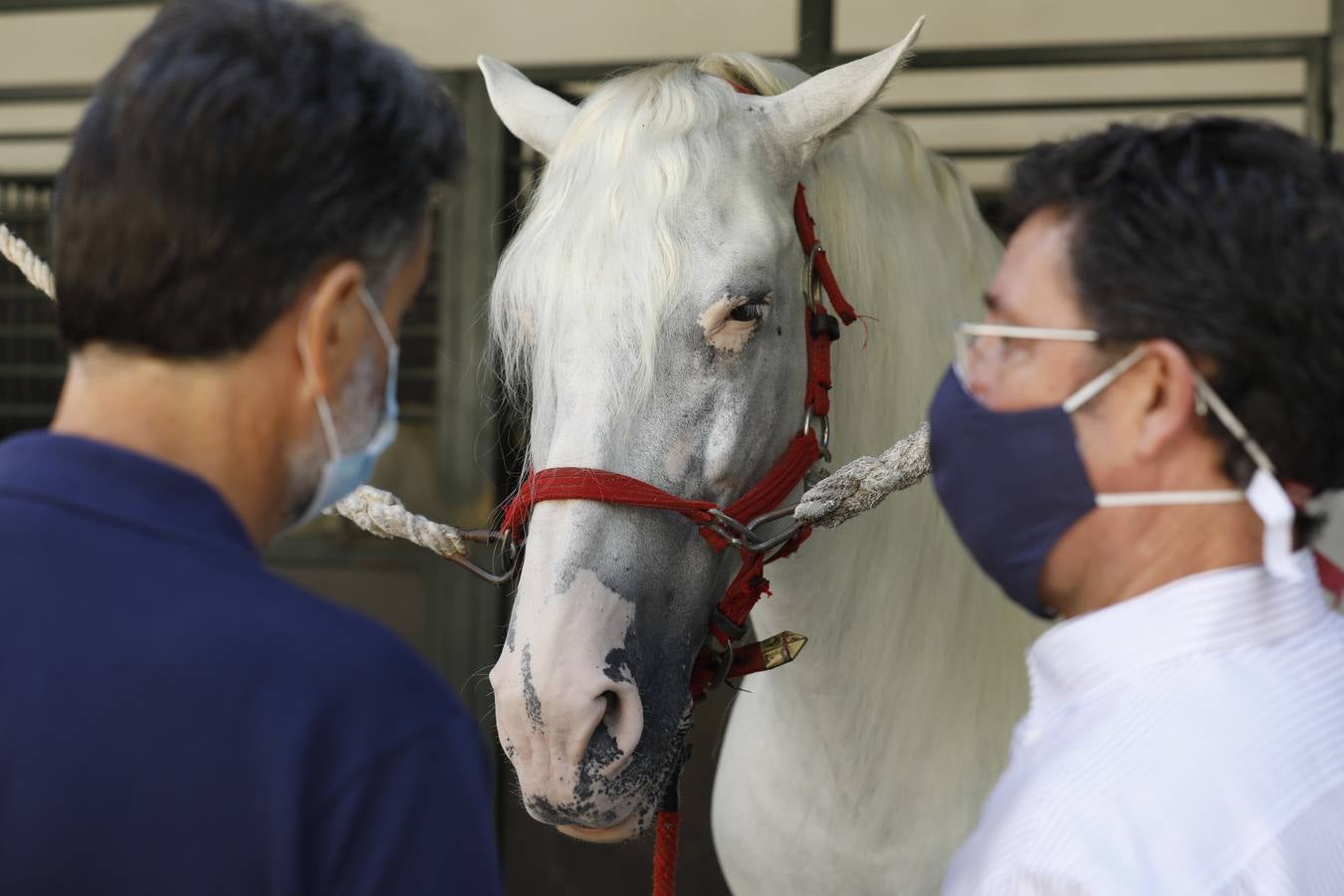 La presentación de Cabalcor 2020, en imágenes